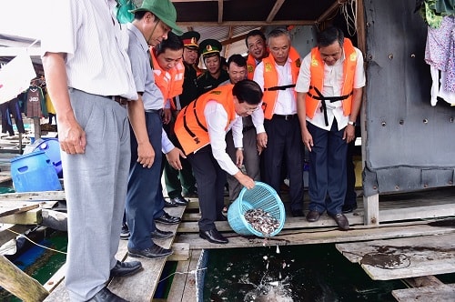Phó Thủ tướng Trịnh Đình Dũng cùng đoàn công tác thăm một hộ nuôi cá lồng bè trên biển thuộc xã Hòn Nghệ, huyện Kiên Lương. Ảnh: VGP