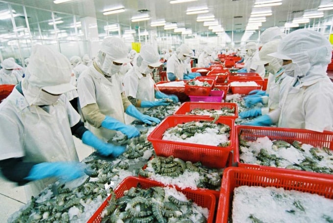 Xuất khẩu nông sản Việt Nam đang hướng đến các thị trường mới giàu tiềm năng trên thế giới. (Ảnh minh họa)