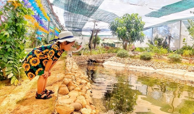 Du khách nhí đang chăm chú quan sát một bạn cá “trốn tìm” tại FLC Zoo Safari Park Quy Nhơn