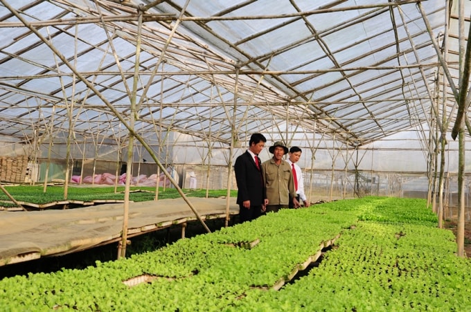 Nguồn vốn Agribank thúc đẩy kinh tế xanh phát triển.