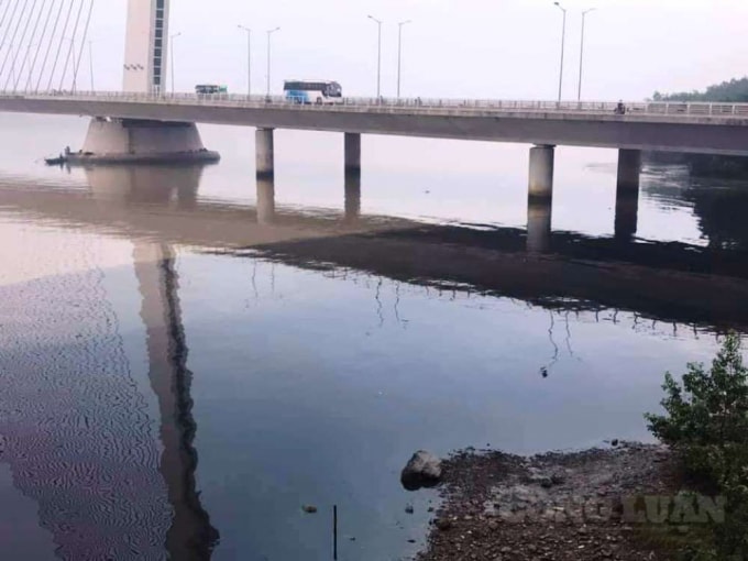 Sông Hàn bị nhuộm một màu đen chảy từ hệ thống cống xả Đảo Xanh.