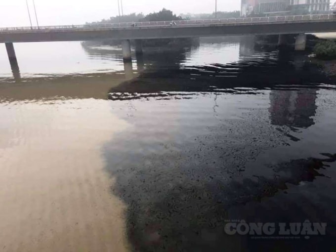 Sông Hàn bị nhuộm một màu đen vào ngày 13/11.