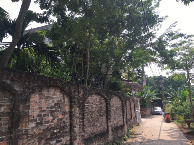 Mảnh đất được UBND huyện Đông Anh cấp Giấy chứng nhận quyền sử dụng đất cho các hộ gia đình trước khi các hộ này có đơn.