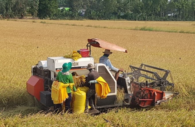 Cơ giới hóa nông nghiệp giúp nâng cao thu nhập cho người dân.