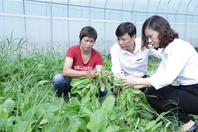 Nguồn vốn Agribank thúc đẩy mô hình nông nghiệp công nghệ cao.