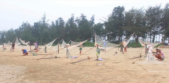 Ngư dân tập trung đan lưới xúc ruốc biển, dịp cuối năm khi đi thu hoạch ruốc biển cũng chính là cơ hội để người dân Cửa Lò tăng thêm thu nhập nhờ nguồn tài nguyên biển này.