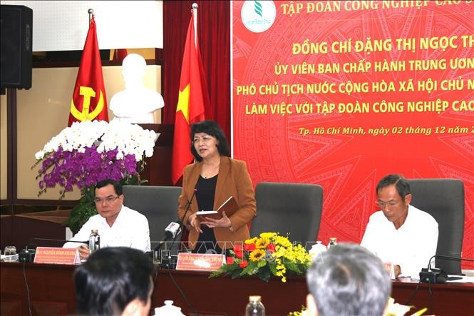 Phó Chủ tịch nước Đặng Thị Ngọc Thịnh phát biểu tại buổi làm việc. Ảnh: TTXVN.