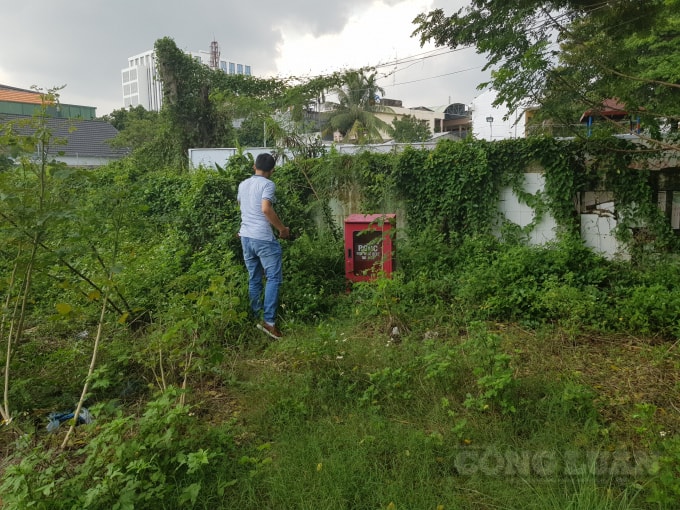 Hệ thống phòng cháy chữa cháy bị cỏ mọc um tùm che khuất và không thể sử dụng được nữa.