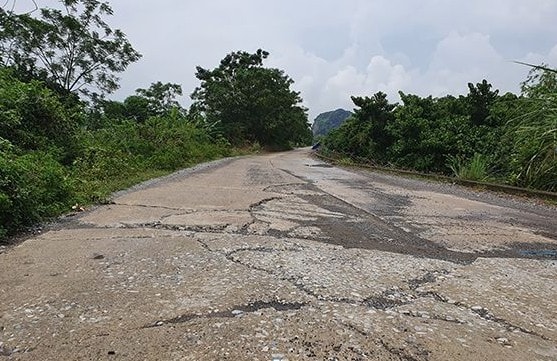 Đoạn đê bị sụt lún, nứt vỡ kéo dài cả chục mét và dấu hiệu xuống cấp nghiêm trọng.