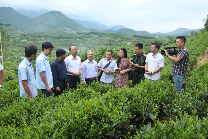 Đoàn thực tế do Hội Nhà báo Thái Nguyên tổ chức thăm, làm việc tại Vùng sản xuất chè và cây ăn quả tập trung xã Phúc Thuận, thị xã Phổ Yên.