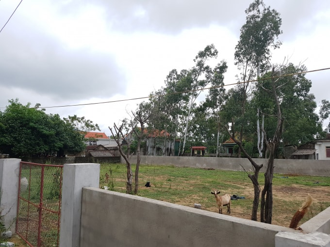 Vị trí lô đất mà ông Trần Quốc Tuấn phản ánh ông Nguyễn Khắc Dương chiếm giữ, xây dựng tường bao trên phần đất của gia đình ông.