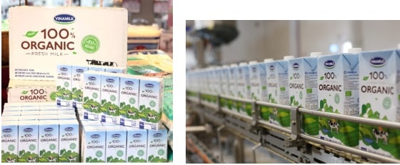 Có thể dễ dàng nhận biết logo “EU Organic” trên các hộp sữa organic của Vinamilk