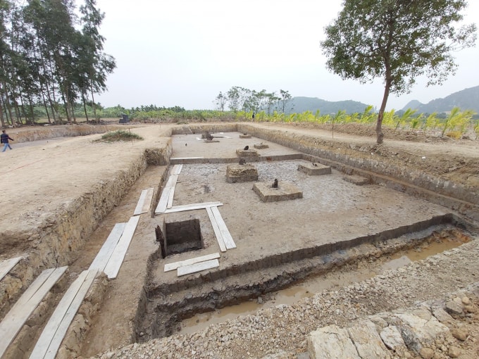 Di tích bãi cọc quý hàng ngàn năm tuổi ở cánh đồng Cao Quỳ, xã Liên Khê, huyện Thủy Nguyên, Hải Phòng.