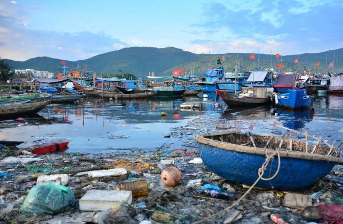 Rác thải ngập ngụa âu thuyền.