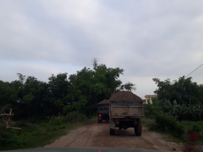 Các phương tiện nối đuôi nhau ra vào mua bán vật liệu xây dựng tại điểm tập kết của Công ty Cổ phần Vân Đức sau đó chạy lên tuyến đê của huyện Thường Tín, Hà Nội.