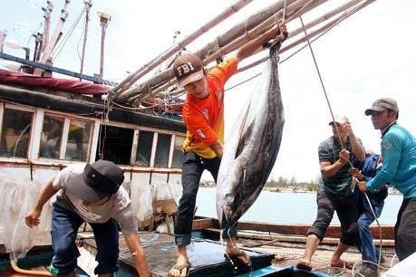 Phó Thủ tướng Trịnh Đình Dũng yêu cầu chấm dứt tình trạng khai thác hải sản trái phép ở vùng biển nước ngoài, truy xuất nguồn gốc hải sản. Ảnh minh họa: internet