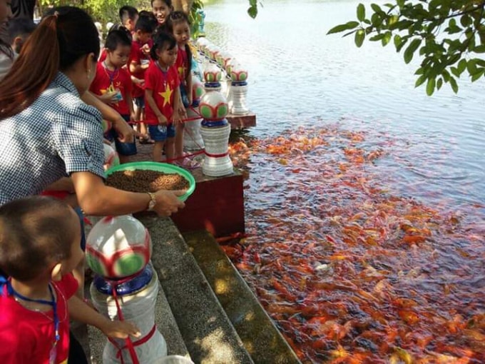 Các nhóm lớp đi báo công với Bác Hồ và thăm ao cá Bác Hồ.