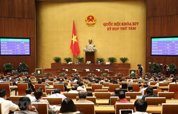 Ngày 22/11/2019, Quốc hội thông qua Luật Thư viện tỷ lệ 91,51% số đại biểu Quốc hội tán thành. Ảnh: TTXVN