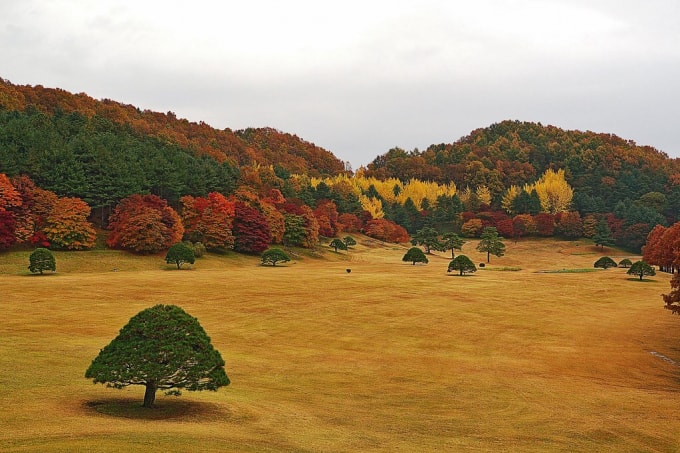 Sân golf tại Cheongnamde.