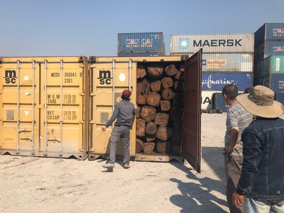 Những container gỗ nghi là giáng hương bị cơ quan chức năng phát hiện.