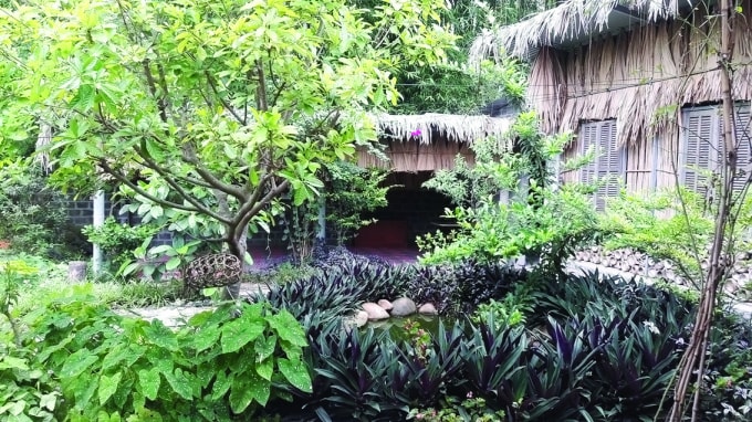 Homestay Lan Rừng – Nghĩa Lộ.