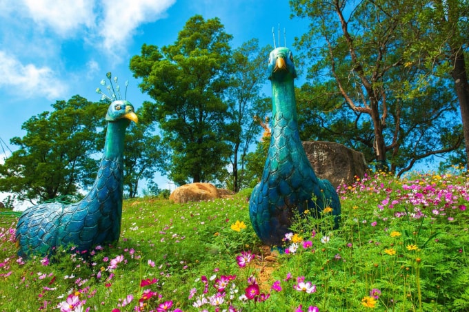 Cảnh quan trên đỉnh núi Bà Đen.