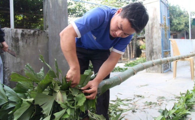 Các gia đình chọn cho mình một cây tre cao, thẳng để làm cây nêu dựng trước nhà.