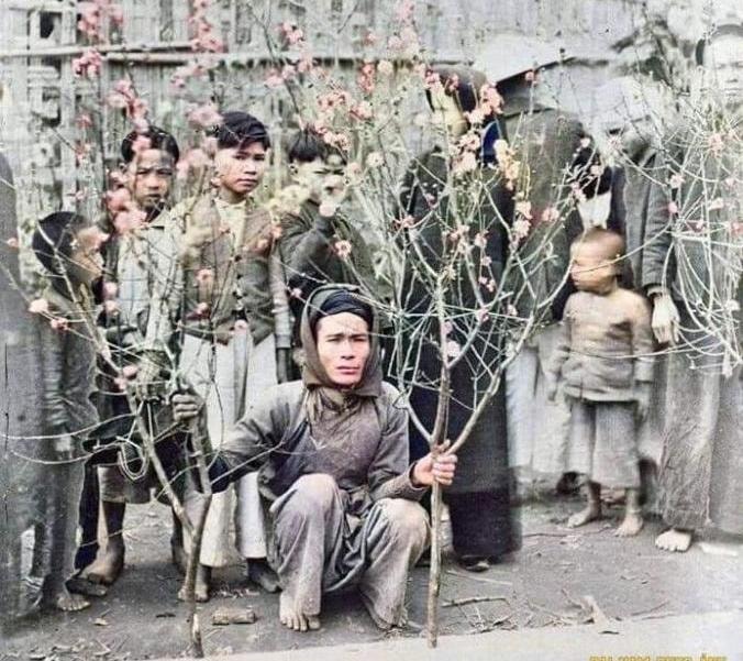 ảnh minh họa, nguồn internet