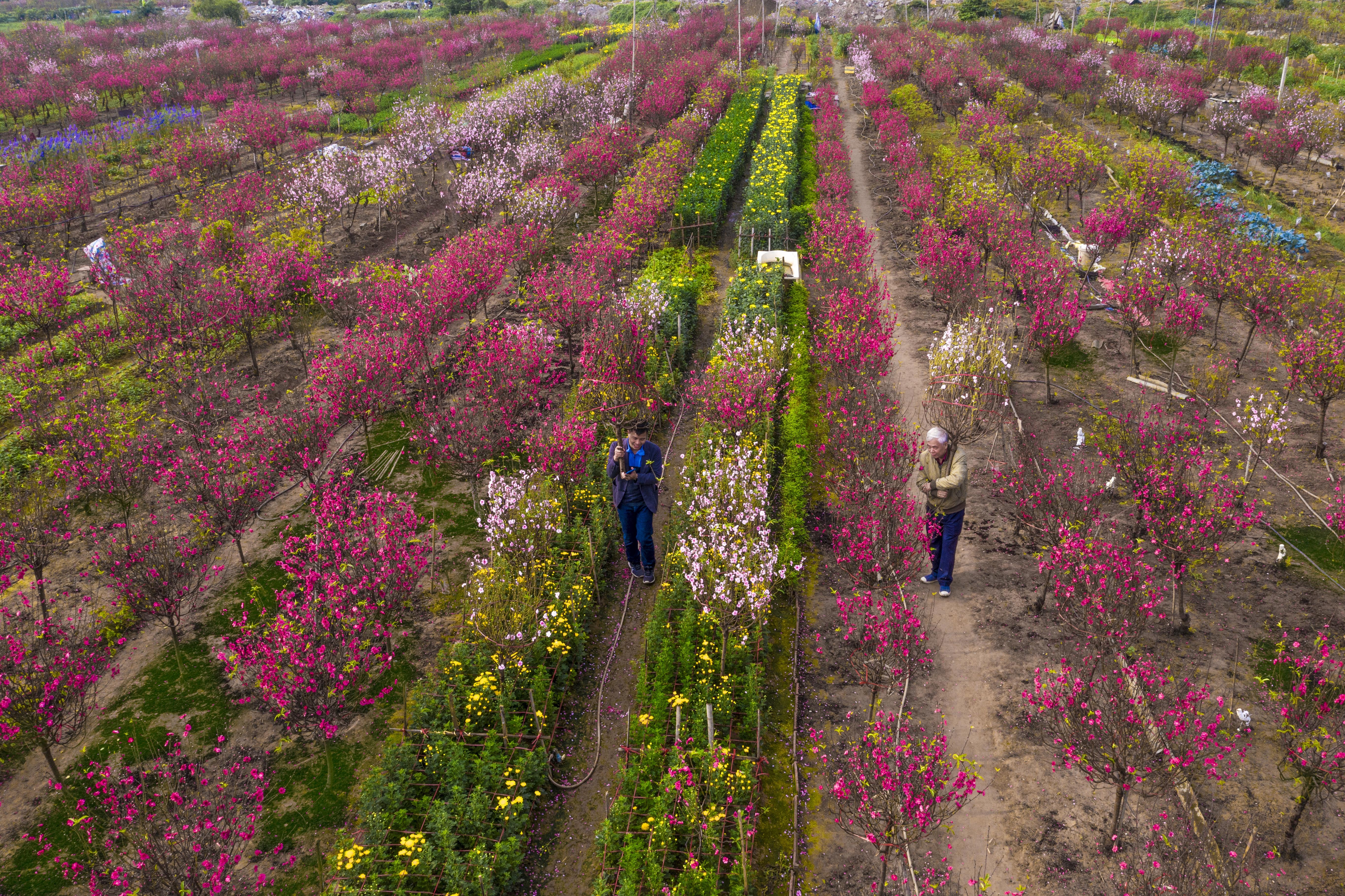 DJI_0122