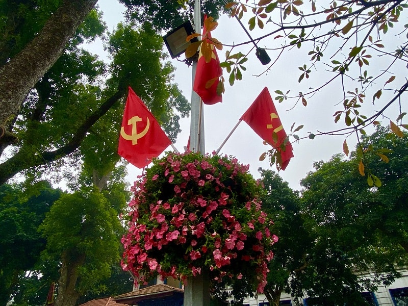 Cột đèn trên Phố Đinh Tiên Hoàng treo cờ Tổ quốc, cờ Đảng và hoa trang trí.