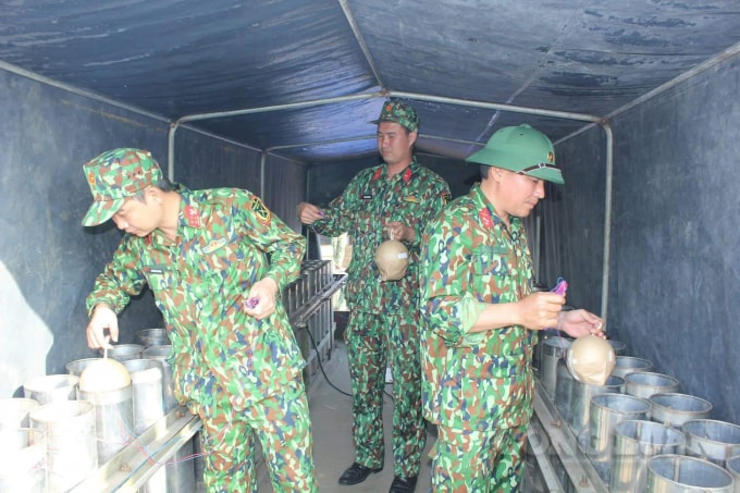 Thả pháo vào nồng súng.
