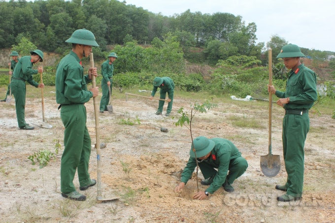Tết trồng cây để nhớ ơn Bác Hồ.