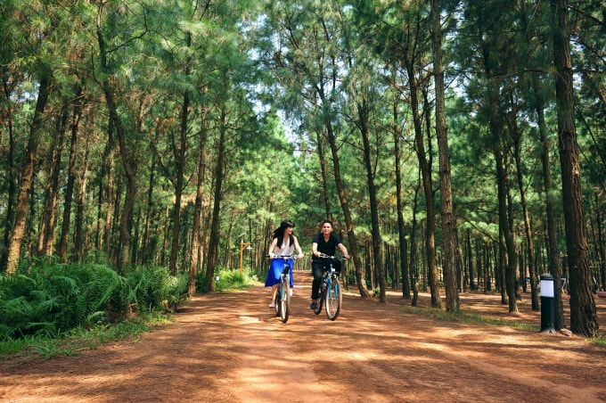 Flamingo Đại Lải Resort (2)