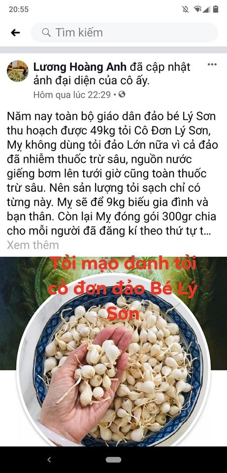 Tài khoản Lương Hoàng Anh đăng tải thông tin không đúng sự thật.