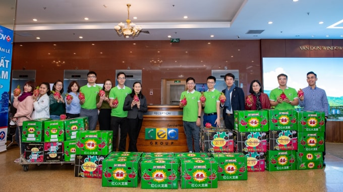 Tập đoàn CEO thu mua 2 tấn thanh long ủng hộ bà con nông dân Bình Thuận.