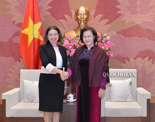 Chủ tịch Quốc hội Nguyễn Thị Kim Ngân tiếp Đại sứ Đặc mệnh toàn quyền Australia tại Việt Nam Robyn Mudie. Ảnh: quochoi.vn