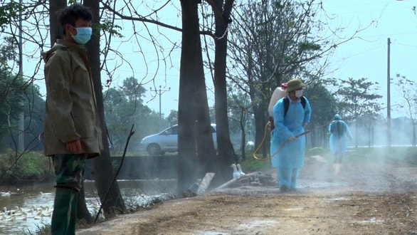 Lực lượng chức năng phun thuốc khử trùng phòng chống dịch cúm gia cầm tại huyện Chương Mỹ, Hà Nội. Ảnh: P.H
