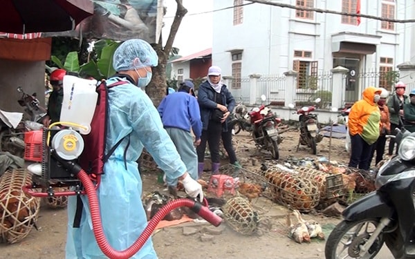 Tỉnh Yên Bái tổ chức phun khử khuẩn bằng Cloramin B cho các đơn vị, trường học, các địa điểm tập trung đông người. Ảnh: Báo Yên Bái