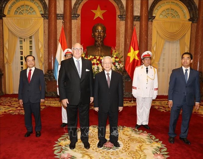 ổng Bí thư, Chủ tịch nước Nguyễn Phú Trọng tiếp Ông Jean-Paul Senninger, Đại sứ Đặc mệnh toàn quyền Đại Công quốc Luxembourg tại Việt Nam đến trình Quốc thư. Ảnh:TTXVN.