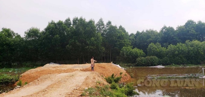 Bà Kiều chỉ tài sản của bà bị chính quyền xã Hải Thọ đập phá, xô đổ xuống ao.