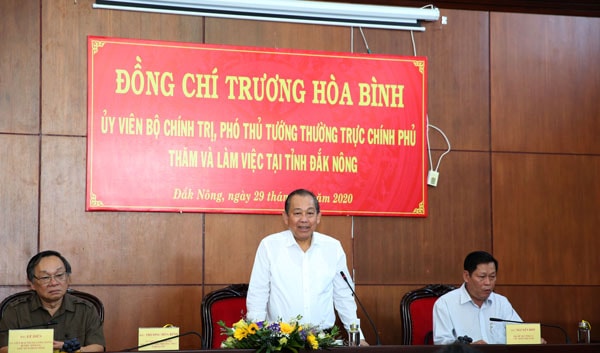 Phó Thủ tướng Trương Hòa Bình phát biểu tại buổi làm việc. Ảnh: VGP