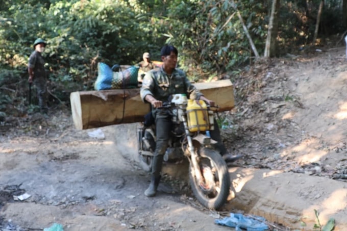 Bắt nhóm đối tượng khai thác, vận chuyển gỗ trái phép tại huyện Đăk Tô, Kon Tum. (ảnh Công an cung cấp)