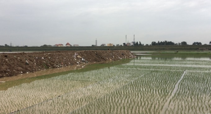 Sau cơn mưa to chiều ngày 3/3 xuất hiện nhiều đám khói trắng có mùi khét bốc lên từ con đường mới đổ chất thải giữa cánh đồng thôn Hải Bối - Ảnh Hà Long.