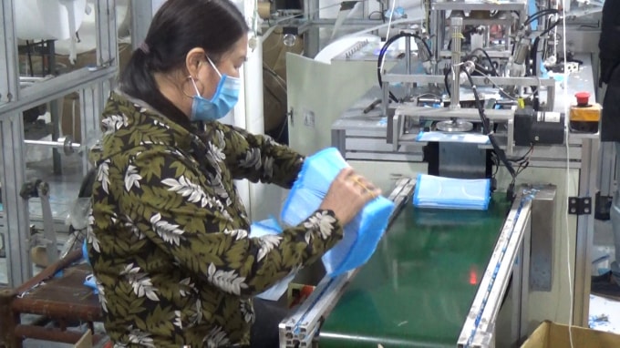 Các công nhân trực tiếp tham gia vào quá trình sản xuất không có dụng cụ bảo vệ như quần áo bảo hộ hay găng tay. Ảnh HL.