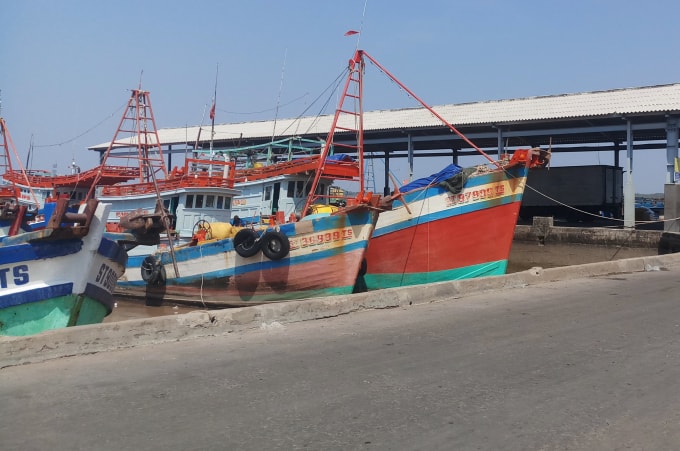 Chủ tàu cá bị phạt hơn 1 tỷ đồng vì vi phạm trong lĩnh vực thủy sản. (Ảnh minh họa)