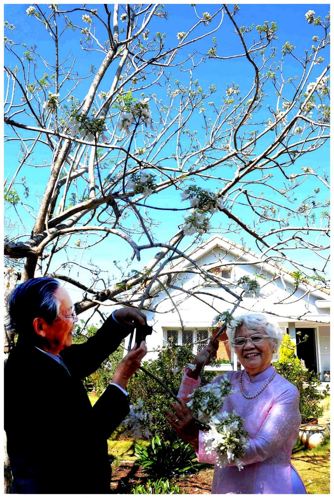 Hạnh phúc bên hoa Phượng trắng.