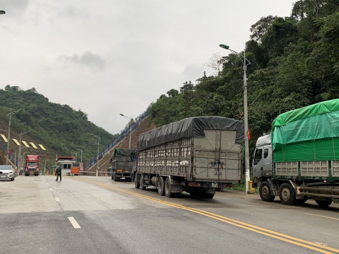 Giao thương thuận lợi ở cửa khẩu Tân Thanh. Ảnh: Hoàng Dương