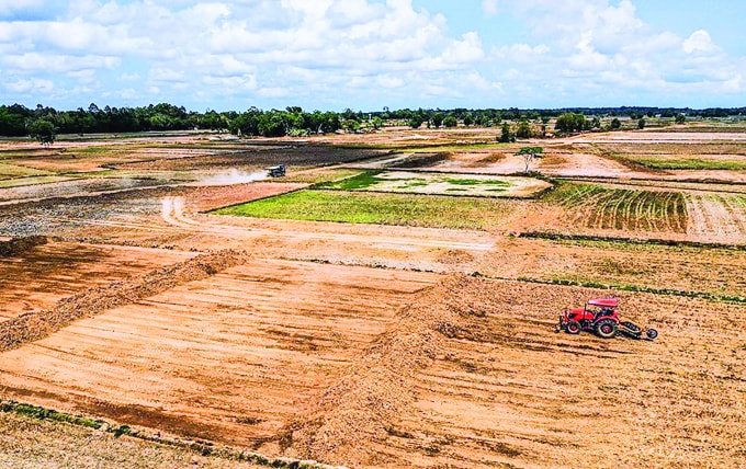Cào lớp đất phù sa ngọt mặt ruộng đem bán cho san lấp ở Trà Cú, Trà Vinh. Ảnh. Lê Thế Thắng.