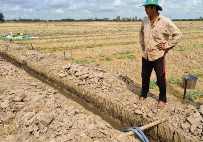 Người nông dân Trà Vinh đào mương dẫn nước ra đồng, nước qua lọc vẫn còn mặn - Ảnh. KG