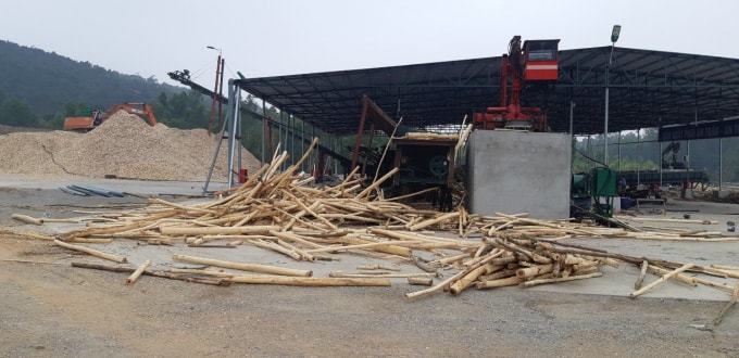 Hàng ngày xưởng có 4 máy phay dăm chạy rầm rầm sản xuất suốt ngày đêm với hàng trăm tấn gỗ dăm